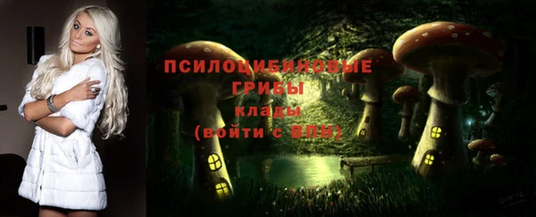 соль курить ск Горнозаводск