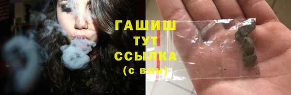 шишки Горно-Алтайск