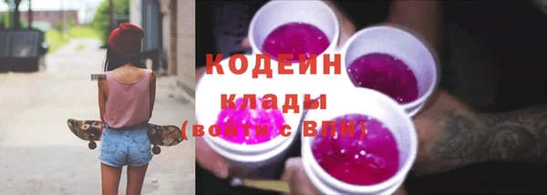 шишки Горно-Алтайск