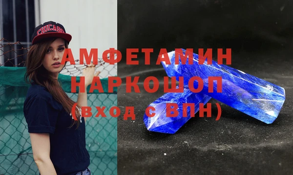 шишки Горно-Алтайск