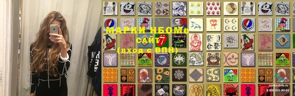 шишки Горно-Алтайск