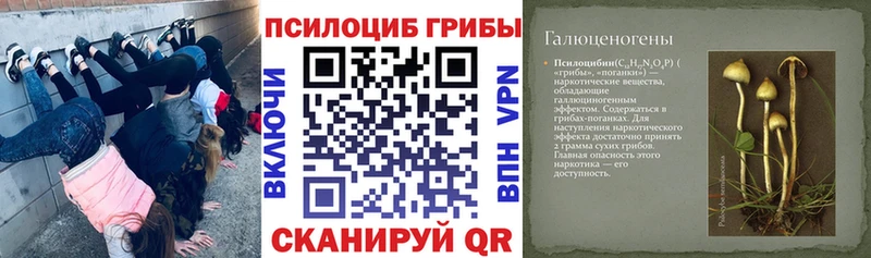 Купить закладки  Шали  Галлюциногенные грибы ЛСД 